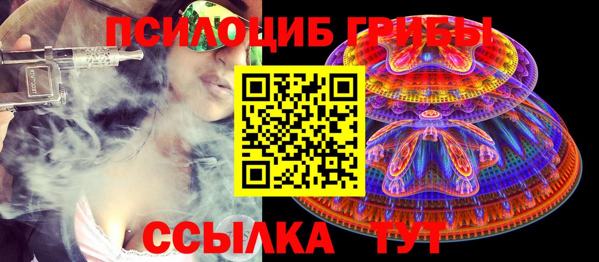 Псилоцибиновые грибы прущие грибы  Псилоцибиновые грибы мухоморы  Михайловск  Вход с VPN 